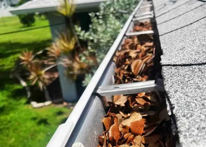 Gutter Cleaning Town and Country home page